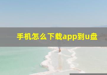 手机怎么下载app到u盘