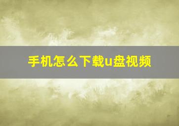 手机怎么下载u盘视频