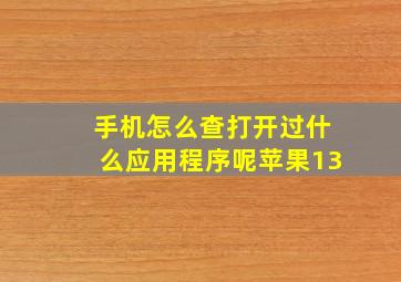 手机怎么查打开过什么应用程序呢苹果13