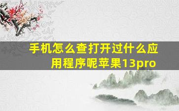 手机怎么查打开过什么应用程序呢苹果13pro