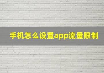 手机怎么设置app流量限制