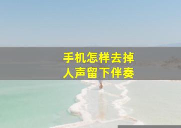 手机怎样去掉人声留下伴奏