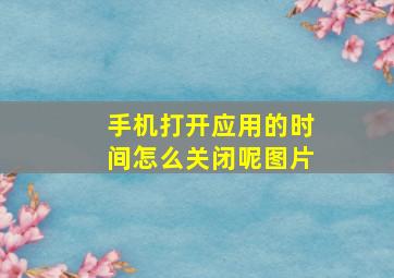 手机打开应用的时间怎么关闭呢图片