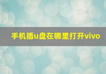 手机插u盘在哪里打开vivo