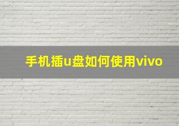 手机插u盘如何使用vivo