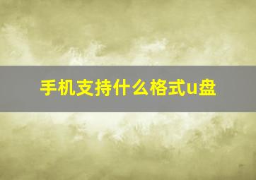 手机支持什么格式u盘