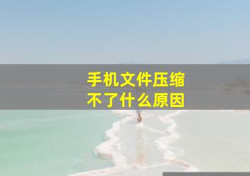 手机文件压缩不了什么原因