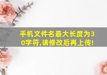 手机文件名最大长度为30字符,请修改后再上传!