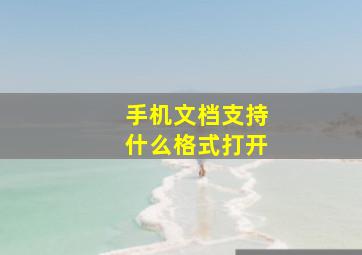 手机文档支持什么格式打开