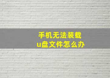 手机无法装载u盘文件怎么办