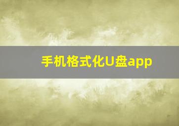 手机格式化U盘app