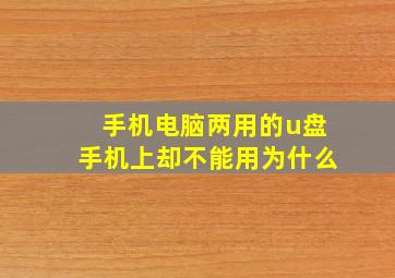 手机电脑两用的u盘手机上却不能用为什么