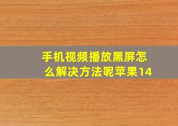 手机视频播放黑屏怎么解决方法呢苹果14