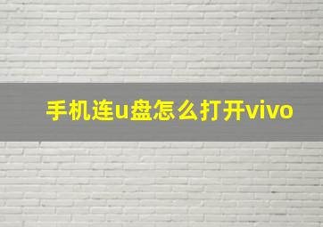 手机连u盘怎么打开vivo