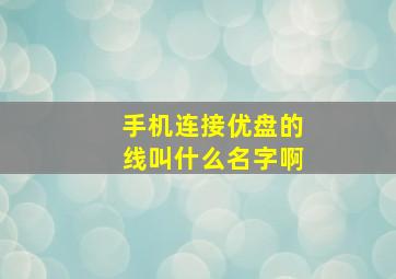 手机连接优盘的线叫什么名字啊