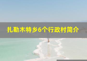 扎勒木特乡6个行政村简介