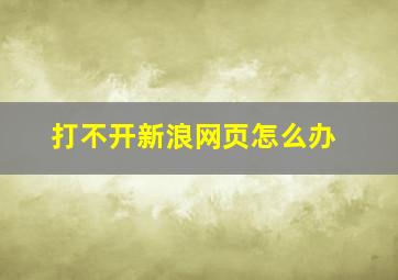 打不开新浪网页怎么办