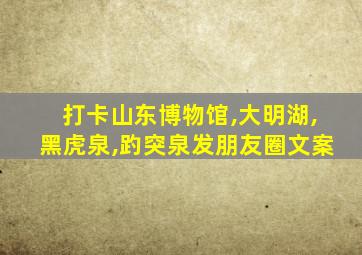 打卡山东博物馆,大明湖,黑虎泉,趵突泉发朋友圈文案