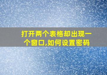 打开两个表格却出现一个窗口,如何设置密码