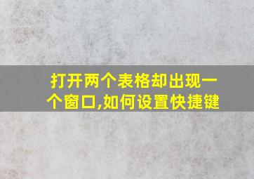 打开两个表格却出现一个窗口,如何设置快捷键