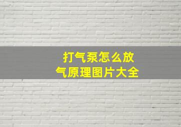 打气泵怎么放气原理图片大全