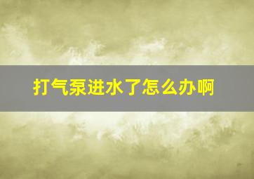 打气泵进水了怎么办啊