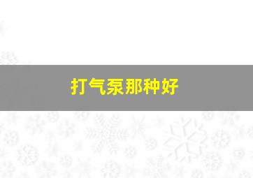 打气泵那种好