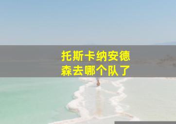 托斯卡纳安德森去哪个队了