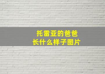 托雷亚的爸爸长什么样子图片