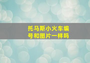 托马斯小火车编号和图片一样吗