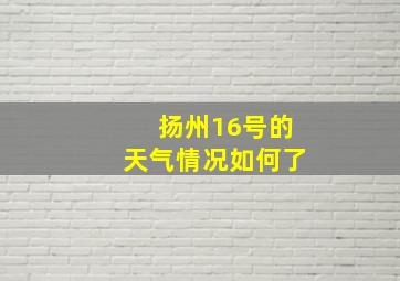 扬州16号的天气情况如何了