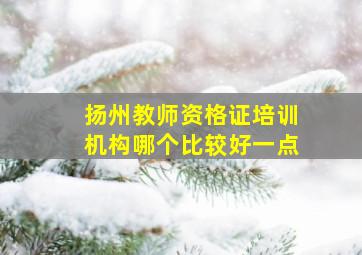 扬州教师资格证培训机构哪个比较好一点