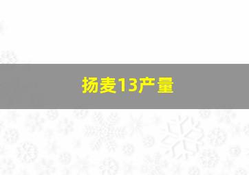 扬麦13产量