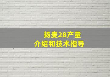 扬麦28产量介绍和技术指导