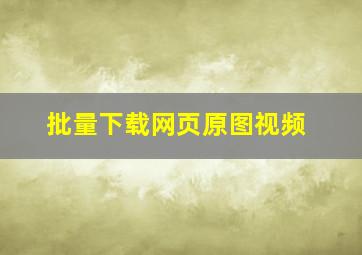 批量下载网页原图视频