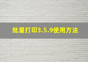 批量打印3.5.9使用方法