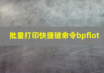 批量打印快捷键命令bpflot