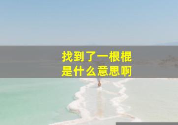 找到了一根棍是什么意思啊