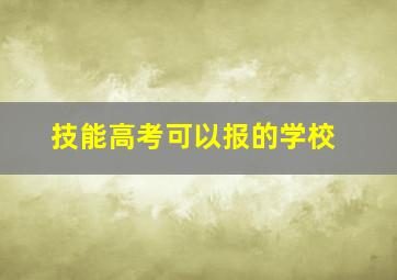 技能高考可以报的学校