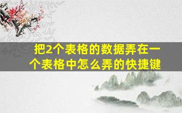 把2个表格的数据弄在一个表格中怎么弄的快捷键