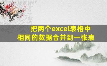 把两个excel表格中相同的数据合并到一张表