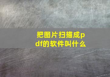 把图片扫描成pdf的软件叫什么