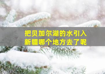 把贝加尔湖的水引入新疆哪个地方去了呢