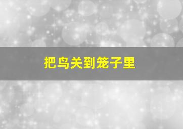 把鸟关到笼子里