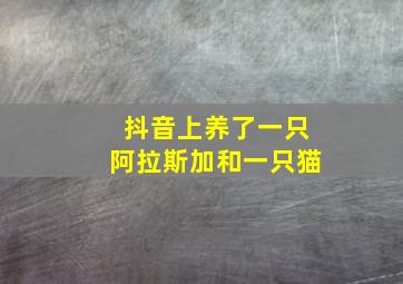 抖音上养了一只阿拉斯加和一只猫