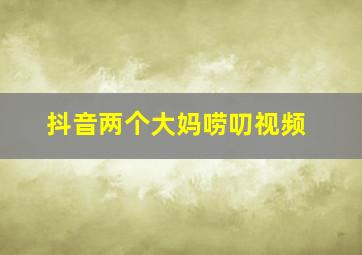 抖音两个大妈唠叨视频