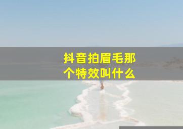 抖音拍眉毛那个特效叫什么