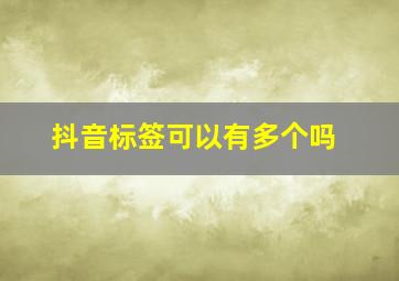 抖音标签可以有多个吗