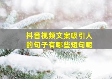 抖音视频文案吸引人的句子有哪些短句呢