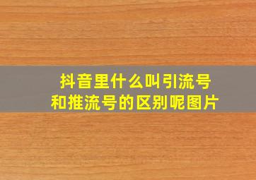 抖音里什么叫引流号和推流号的区别呢图片